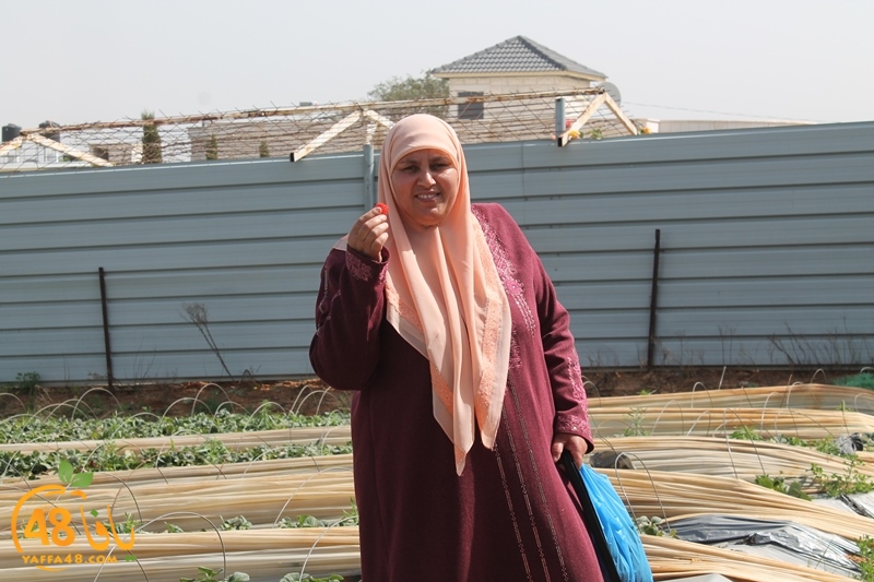 a7bab aqsa farawla (13).JPG